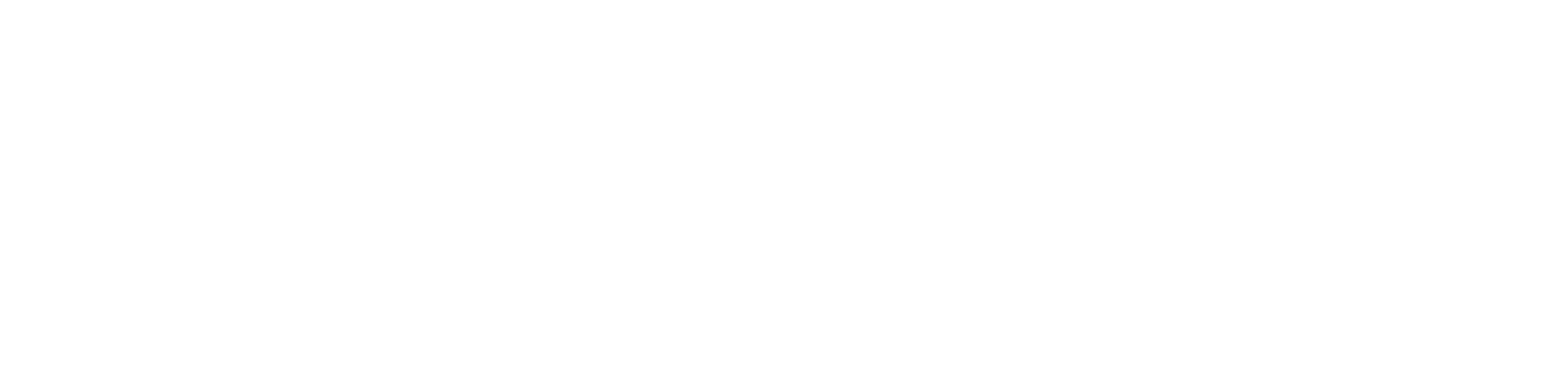 RedDog CRM logo